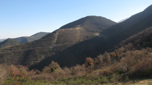 La Serra Ventosa ed il Monte Venande, con sullo sfondo le cime minori del Catria